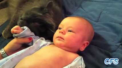 Котета се закачат с бебета