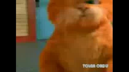 garfield
