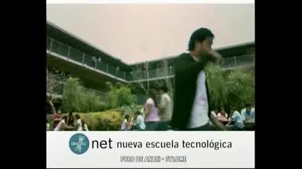 Alfonso - Net