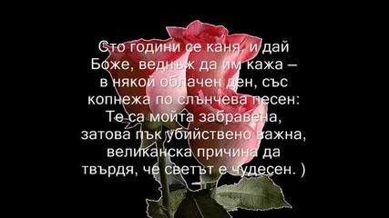 Приятелството е Магия