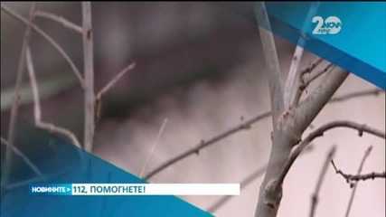 Новините на Нова (08.12.2014 - следобедна)