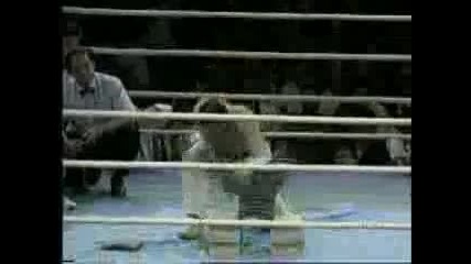 k1 best of andy hug