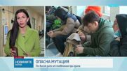 По-висок риск от пневмония при грипа заради мутация