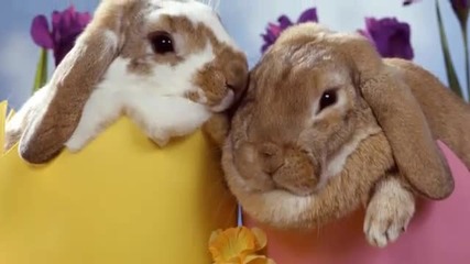 Happy Easter 2011 - Glad - Easter Song