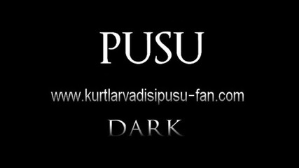 Kurtlar Vadisi Pusu M