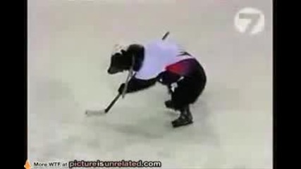 Мечка играе хокей