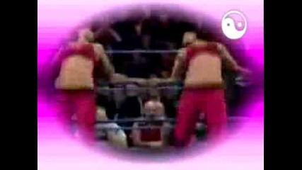Bella Twins My Tron