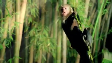 Katy Perry - Roar