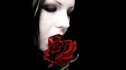 The Used - Liar Liar (burn in hell) Lyrics 