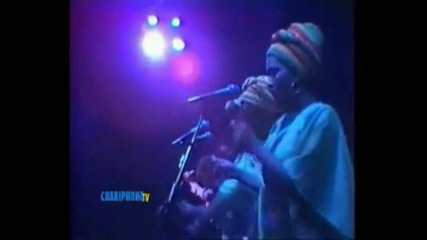 Bob Marley el Gnawi