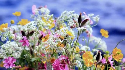Serenade to Summertime - Paul Mauriat