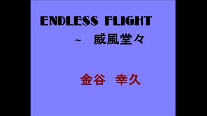 Endless Flight