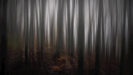 Krytikal - Kalinago Dub