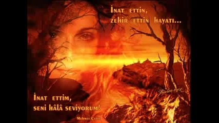 sensiz hayat