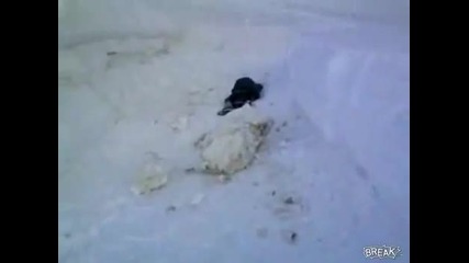 Дете се пребива жестоко докато си играе в снега!топ 40 ! 16.01.2010 