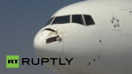 Turkey: ‘Stork attack’ causes Singapore Airlines plane into emergency landing