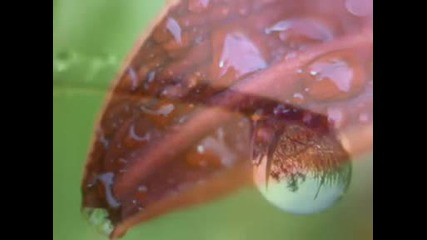 Kitaro Crystal tears