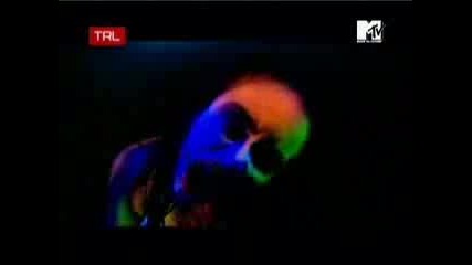 Azad - A.z. Pitbull Vs. Shmok Muzik