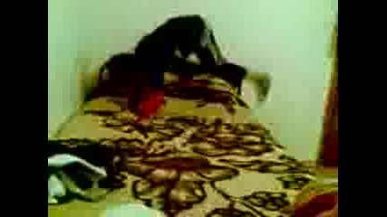 Fitko.3gp
