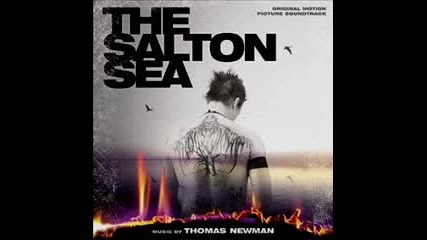 Thomas Newman - One Red Hair ( The Salton Sea) 