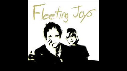 Fleeting Joys - Magnificent Oblivion