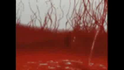 Meshuggah - Shed