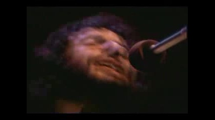 Cat Stevens - Father And Son (live)