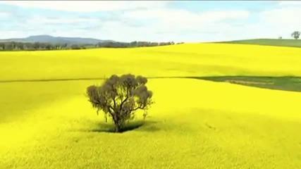 Ennio Morricone ~ Chi mai...