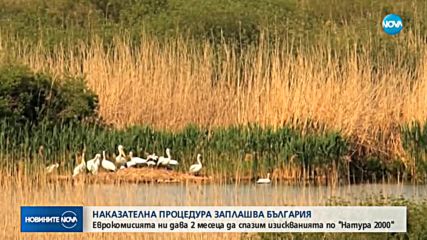 Еврокомисията ни дава 2 месеца да спазим изискванията по "Натура 2000"