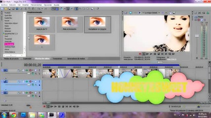 Sony Vegas Tutorial Effect #20