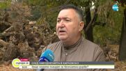 Кметът на Карлово: Решението да се плащат безплатните дърва е взето на общоселско събрание в Богдан