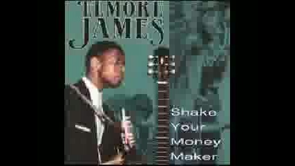 Elmore James - Shake Your Moneymaker 