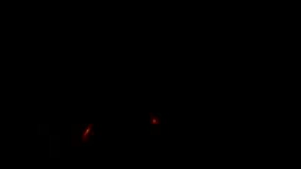 Video0004.3gp