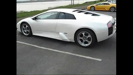 Lamborghini Replica