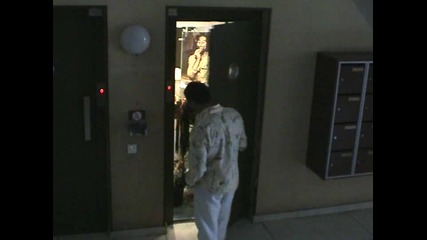Reggae Elevator 