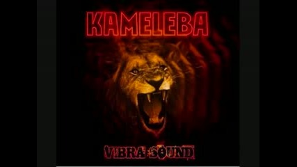 Kameleba - Vibra sound 