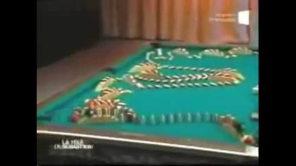 The Most Complicated Pool Trick shot Ever 