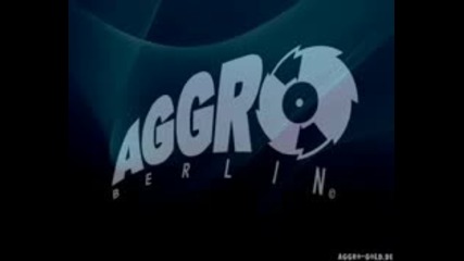 Aggro Berlin Ansage Nr. 8 - Sido, Kitty kat, Fler, Tony D, B - tight - 5krasse Rapper 