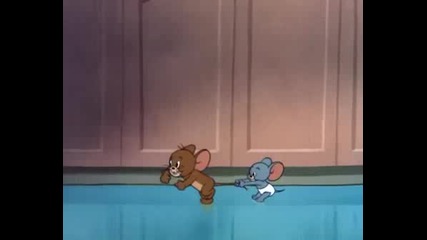Tom & Jerry - Mice Follies