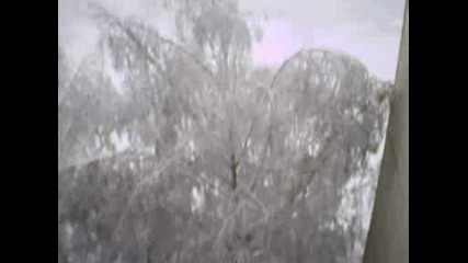 Първи Сняг В София