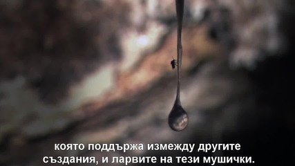 Планетата Земя част4 Пещерите-бг.субтитри