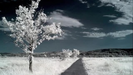 Vena Portae - Lullaby (last Dreame Before Awakening)