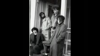 Lung Overcoat - Voice In The Box 