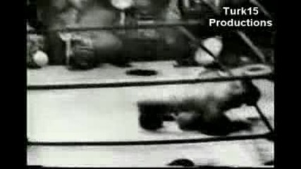 Top 10 Greatest Knockouts Ever