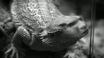 Example - Me Mandy (official Video)
