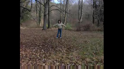 pleven.avi