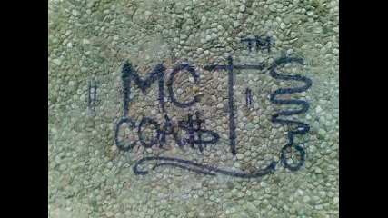Тагове и графити в Мусагеница