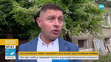 Бездомни кучета нападат деца и домашни любимци в софийско село