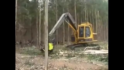 Много ефикасна техника за рязане на горски дървета