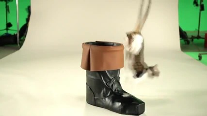 Puss In Boots Movie Behind the Scenes Audition Tapes